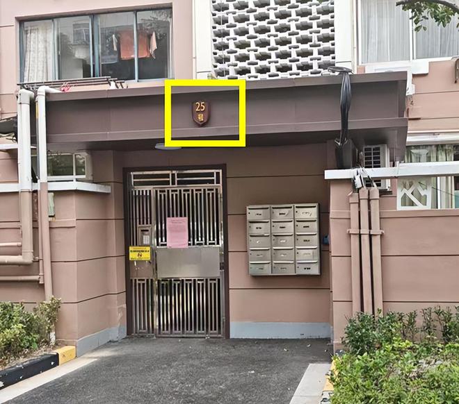 已经进化成这样了怎么上海小区改造(图11)