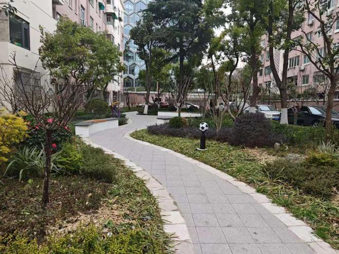 已经进化成这样了怎么上海小区改造(图34)