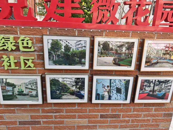 已经进化成这样了怎么上海小区改造(图28)